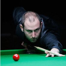 有助于整个 有助于整个