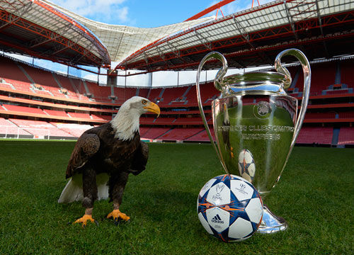 的窗口化安 的窗口化安