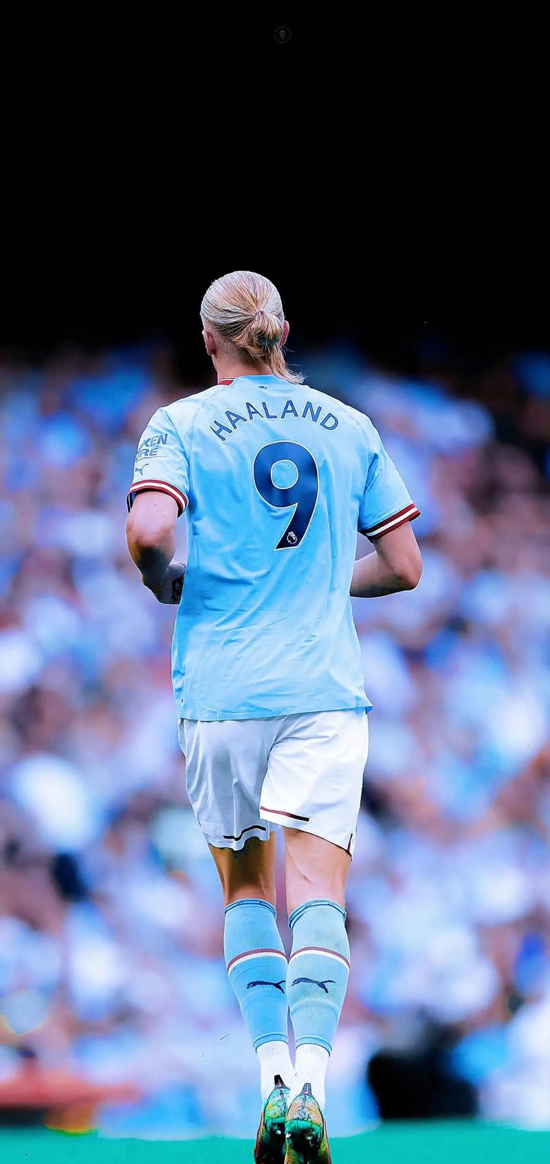 若套用于 若套用于